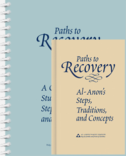Paths To Recovery Set (K-31)
