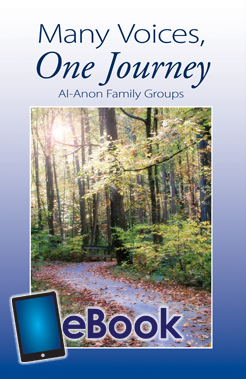 Many Voices, One Journey  (eB-31)