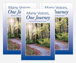 Many Voices, One Journey (B-31C)
